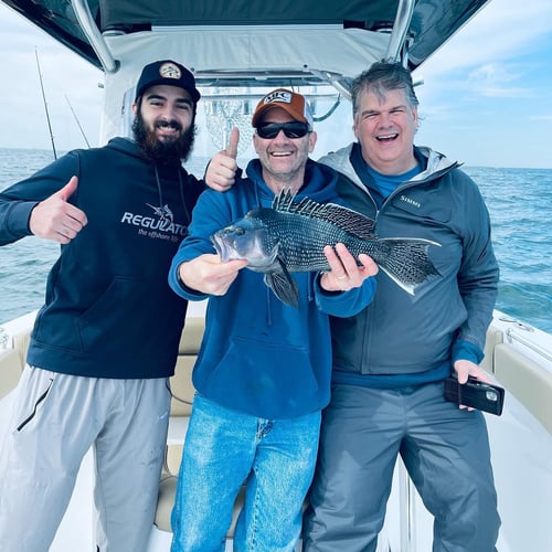 Cape Cod Black Seabass And More In Bourne