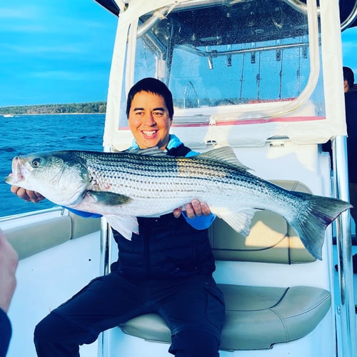 Striper And Bluefish Trip In Bourne