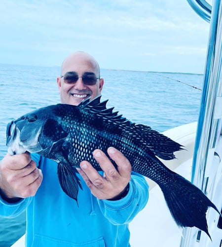 Cape Cod Black Seabass And More In Bourne