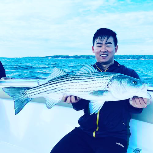 Striper and Bluefish Trip in Bourne