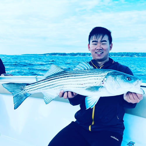 Striper And Bluefish Trip In Bourne