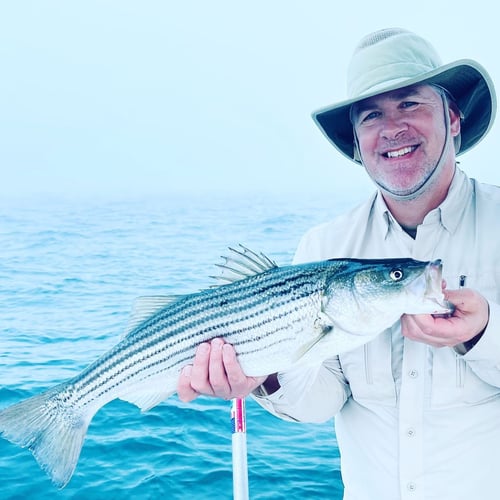 Striper and Bluefish Trip in Bourne