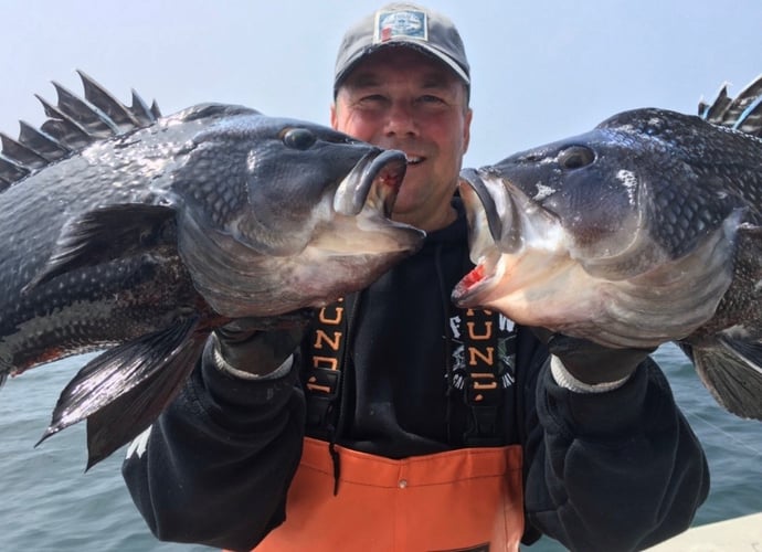 Cape Cod Black Seabass And More In Bourne