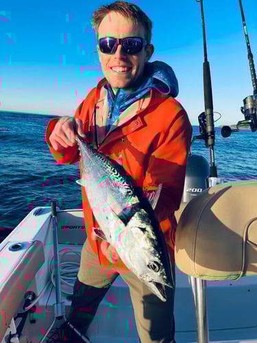 Albies, Bonito, and Spanish mackerel in Falmouth