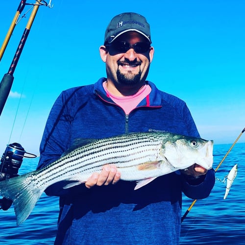 Striper and Bluefish Trip in Bourne