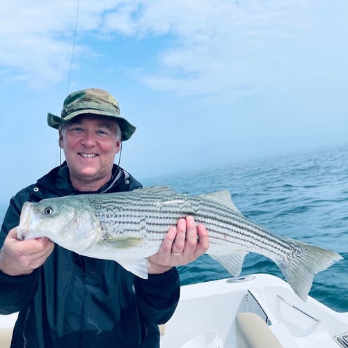 Striper And Bluefish Trip In Bourne