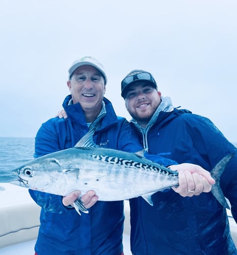 Albies, Bonito, and Spanish mackerel in Falmouth
