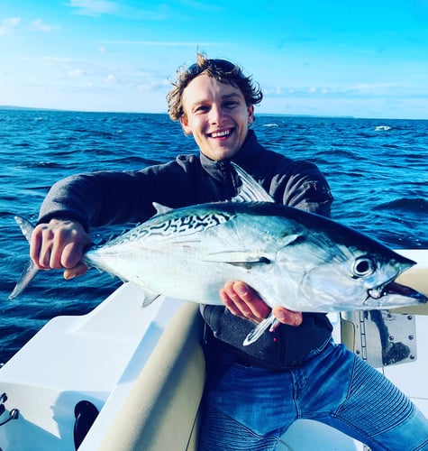 Albies, Bonito, and Spanish mackerel in Falmouth