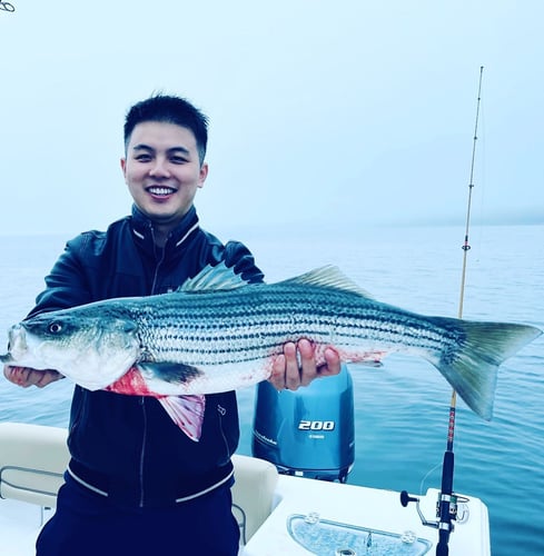 Striper And Bluefish Trip In Bourne