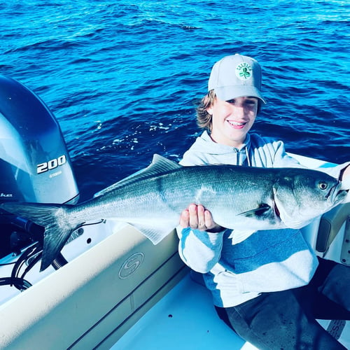 Striper And Bluefish Trip In Bourne