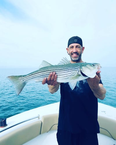 Striper And Bluefish Trip In Bourne