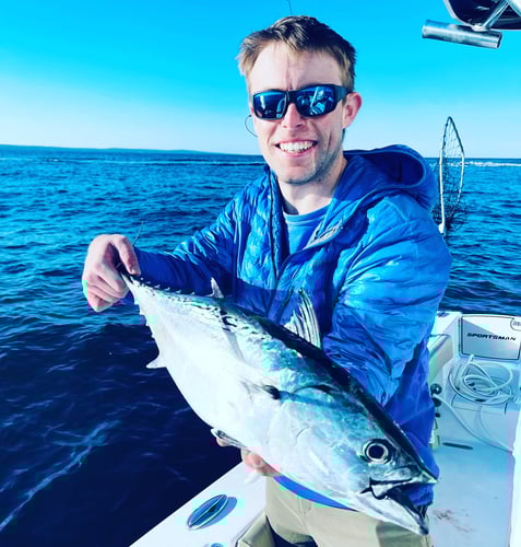 Albies, Bonito, and Spanish mackerel in Falmouth