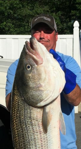 Striper And Bluefish Trip In Bourne