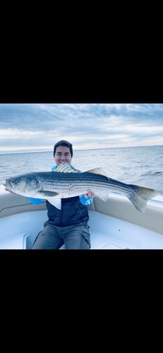 Striper And Bluefish Trip In Bourne