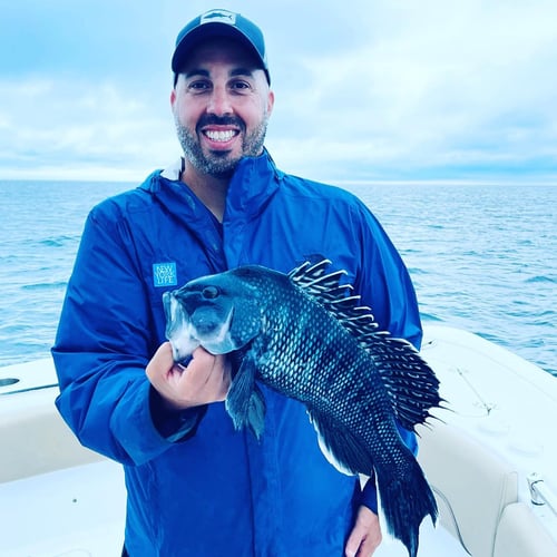 Cape Cod Black Seabass And More In Bourne