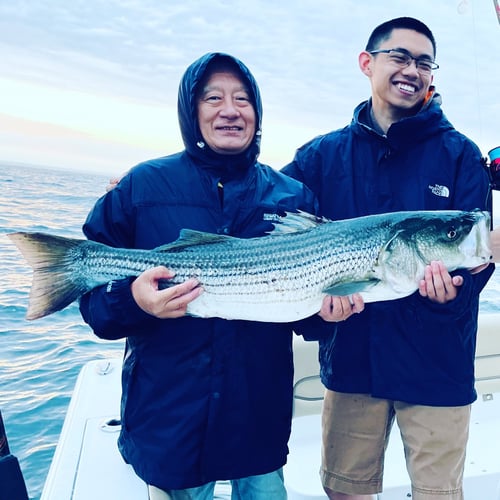 Striper And Bluefish Trip In Bourne