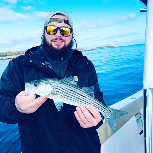 Striper and Bluefish Trip in Bourne