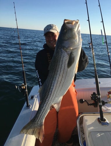 Striper And Bluefish Trip In Bourne