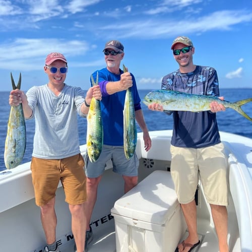 Reel E Sea Charters in Riviera Beach, Florida: Captain Experiences