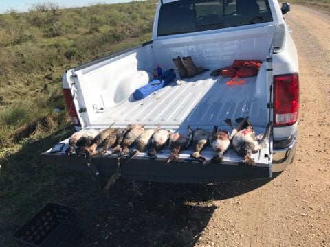 Galveston Bay Duck Hunt