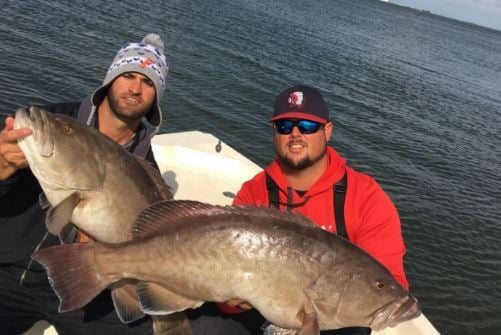 Gag Grouper Special In Tampa