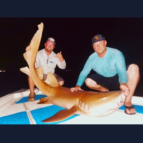 Night Fishing Trip - 2 PAX In Tampa