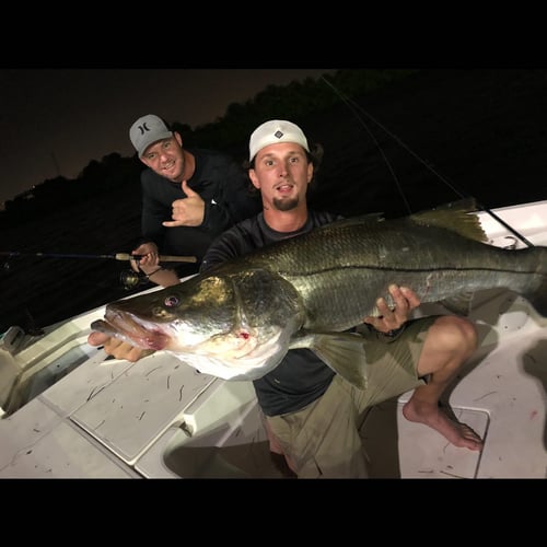 Night Fishing Trip - 2 PAX In Tampa