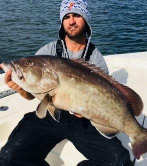 Gag Grouper Special In Tampa