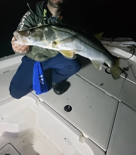Night Fishing Trip - 2 PAX In Tampa
