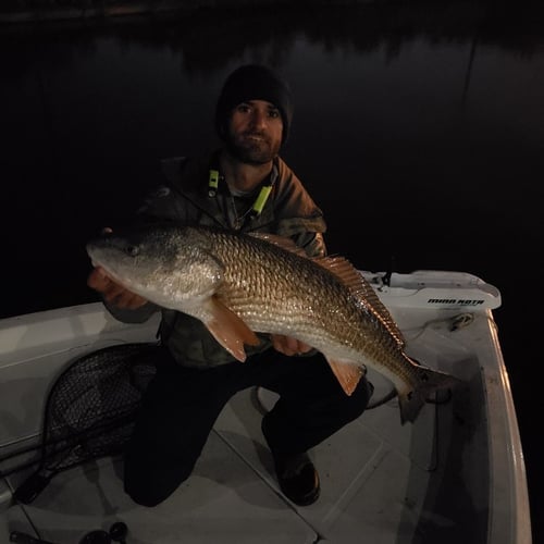 Night Fishing Trip - 2 PAX In Tampa