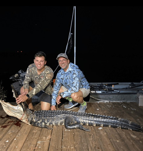 7-9' Central Florida Gator Hunt In Orlando