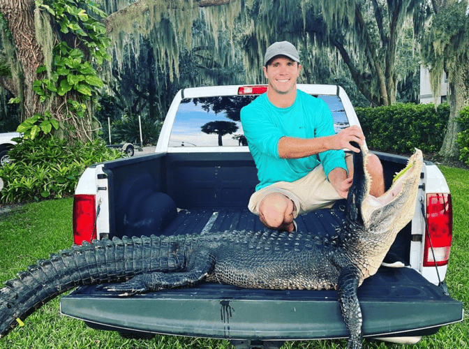 9-10' Central Florida Gator Hunt In Orlando