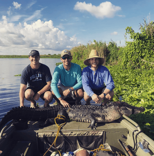 9-10' Central Florida Gator Hunt In Orlando