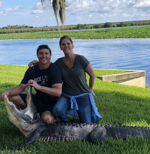9-10ft Central Florida Gator
