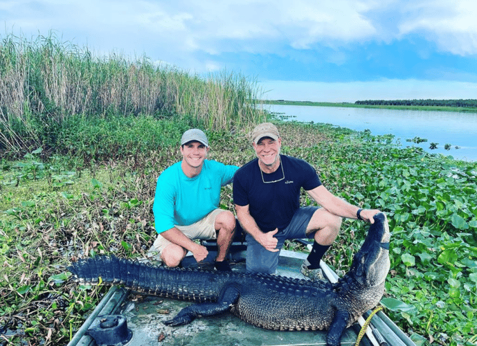 9-10' Central Florida Gator Hunt In Orlando