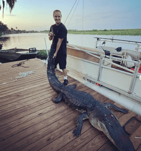 11'+ Central Florida Gator Hunt In Orlando