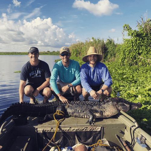 11'+ Central Florida Gator Hunt In Orlando