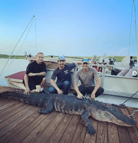 11'+ Central Florida Gator Hunt In Orlando