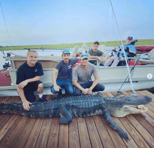 11'+ Central Florida Gator Hunt In Orlando