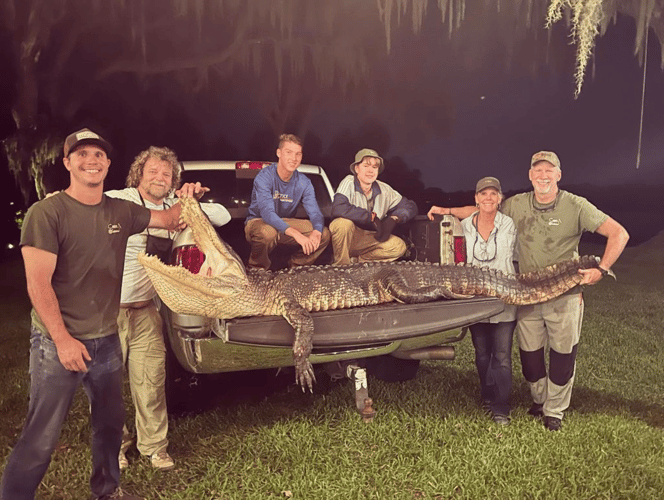 11'+ Central Florida Gator Hunt In Orlando