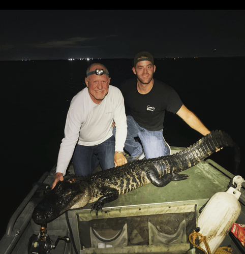 11'+ Central Florida Gator Hunt In Orlando