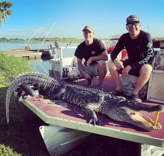 11'+ Central Florida Gator Hunt In Orlando