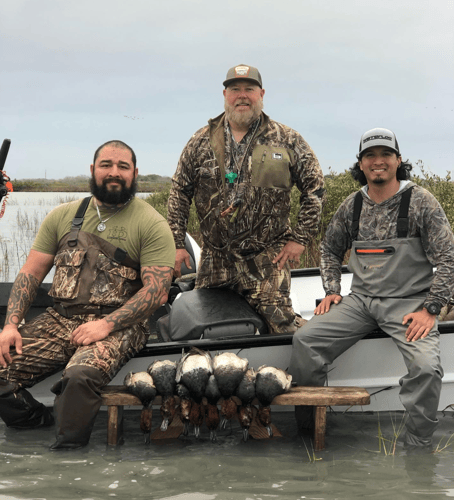 Coastal Bend Teal Assault In Corpus Christi