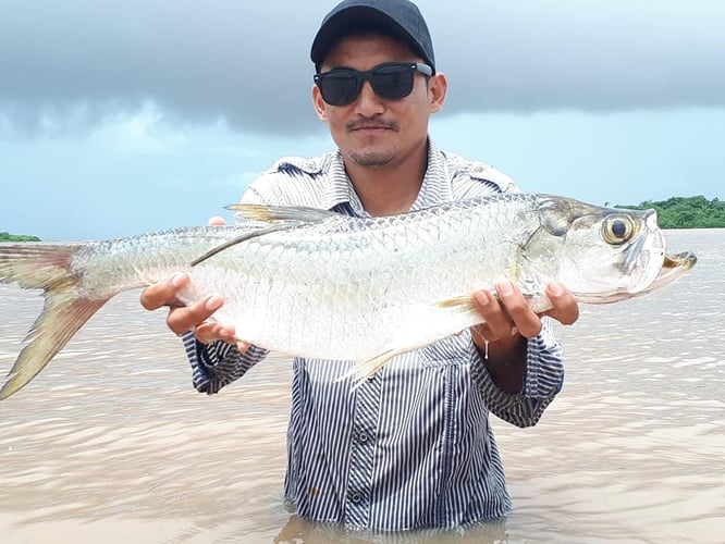 "Silver Kings" Tarpon Adventure in Sandy Bay Sirpi