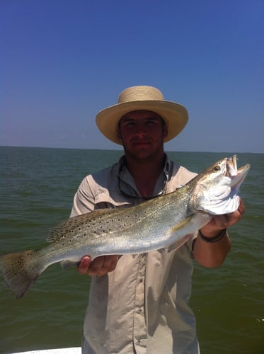 Texas Inshore Sportfish Trip