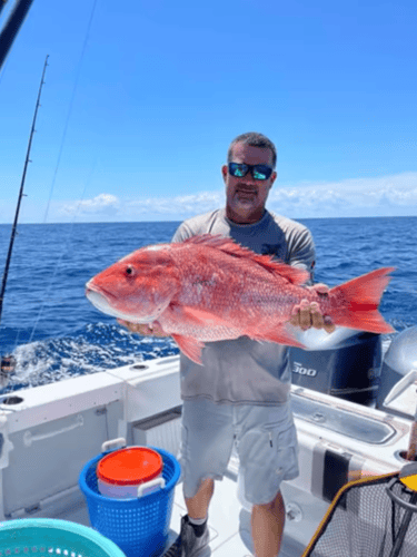 Grouper/Snapper Run- 35’ Contender In St. Petersburg