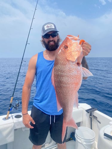 Grouper/Snapper Run- 35’ Contender In St. Petersburg