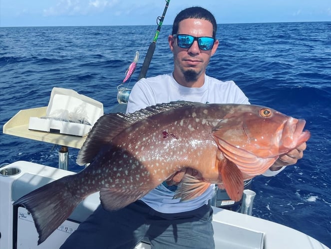 Grouper/Snapper Run- 35’ Contender In St. Petersburg