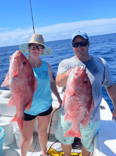 Grouper/Snapper Run- 35’ Contender In St. Petersburg