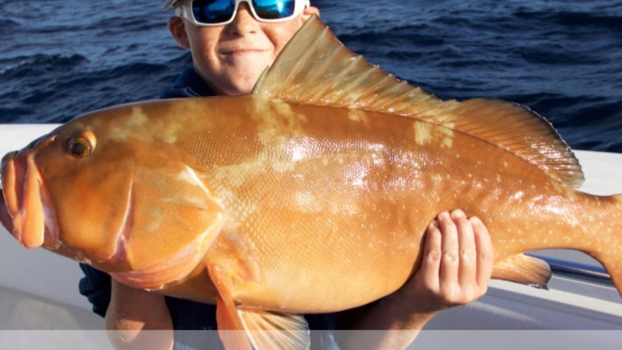 Grouper/Snapper Run- 35’ Contender In St. Petersburg